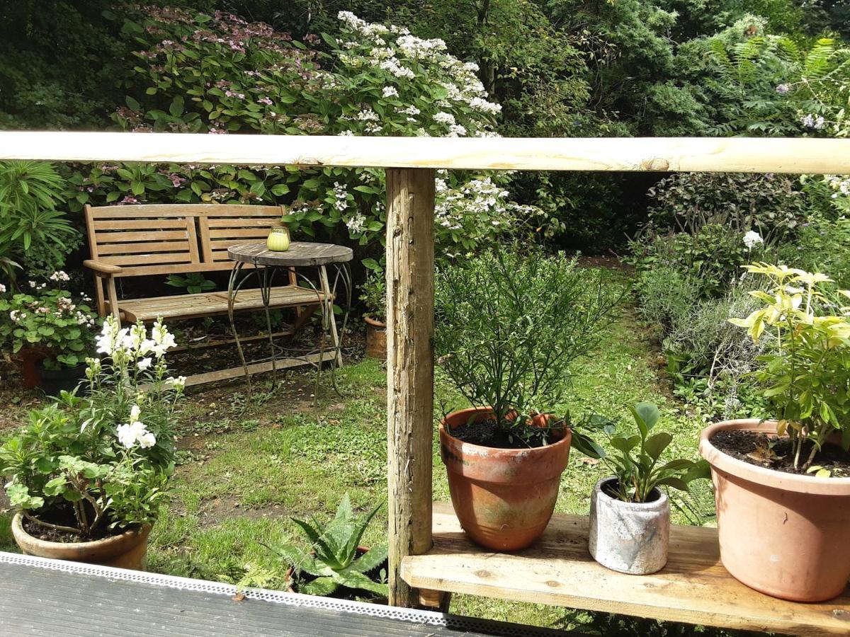 Villa Tranquil Wood Cabin Set In A Beautiful Orchard Penzance Exterior foto